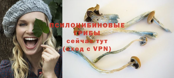 2c-b Балахна