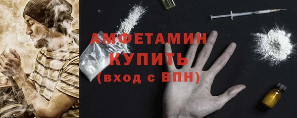 индика Белокуриха