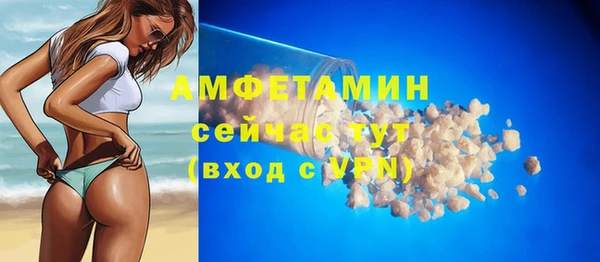 индика Белокуриха