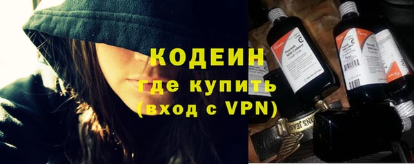 индика Белокуриха