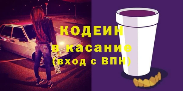 индика Белокуриха