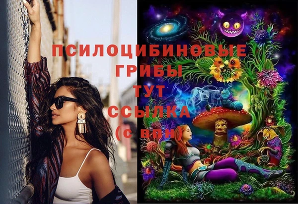 крисы Беломорск