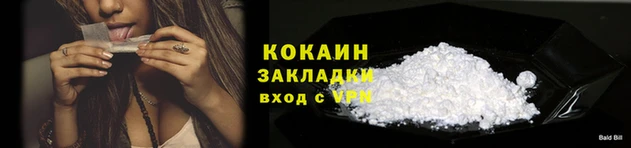 индика Белокуриха