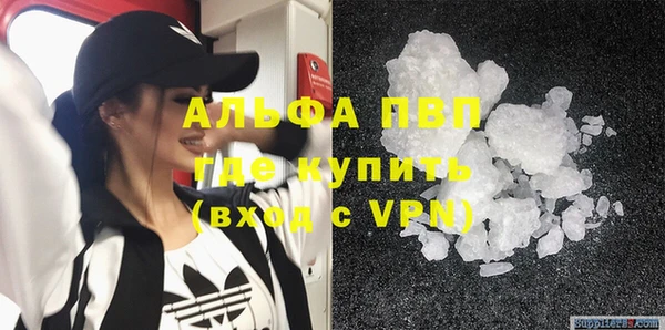 индика Белокуриха