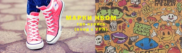 индика Белокуриха