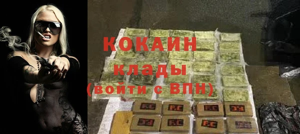 индика Белокуриха